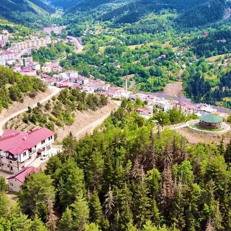 Hotel Savsat Koesk